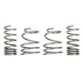 Lowering Springs