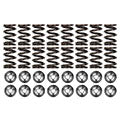 Valve Springs